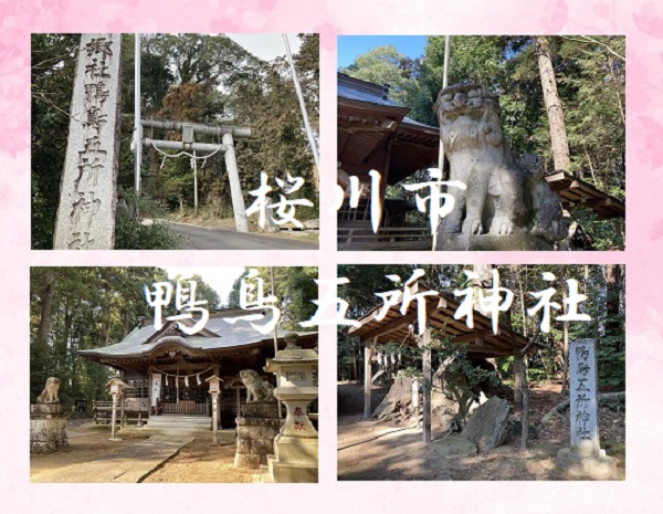 鴨鳥五所神社（桜川市）愛らしい狛犬さんがお出迎え♪