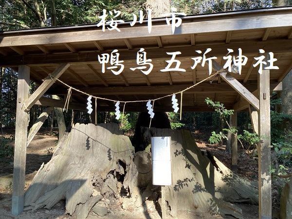 鴨鳥五所神社