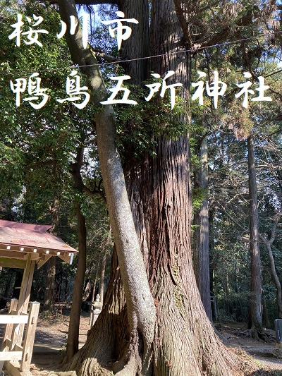 鴨鳥五所神社