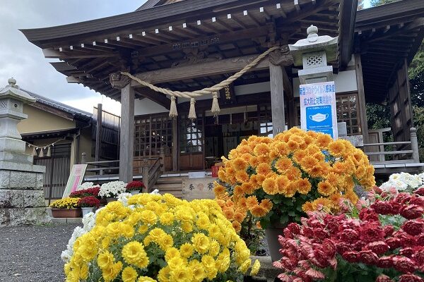 水戸市弾丸御朱印巡り　効率よく神社参拝16社