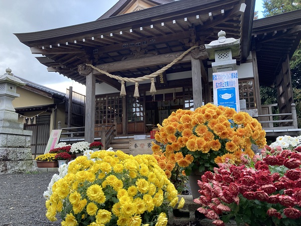 水戸市弾丸御朱印巡り　効率よく神社参拝16社